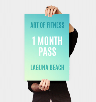 art of fitness laguna beach one month pass