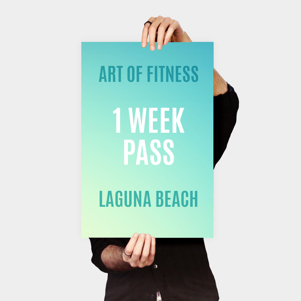one week pass to art of fitness laguna beach gym - classes not included
