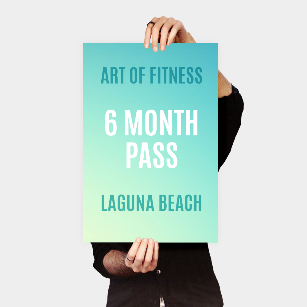 6 month pass to art of fitness laguna beach gym