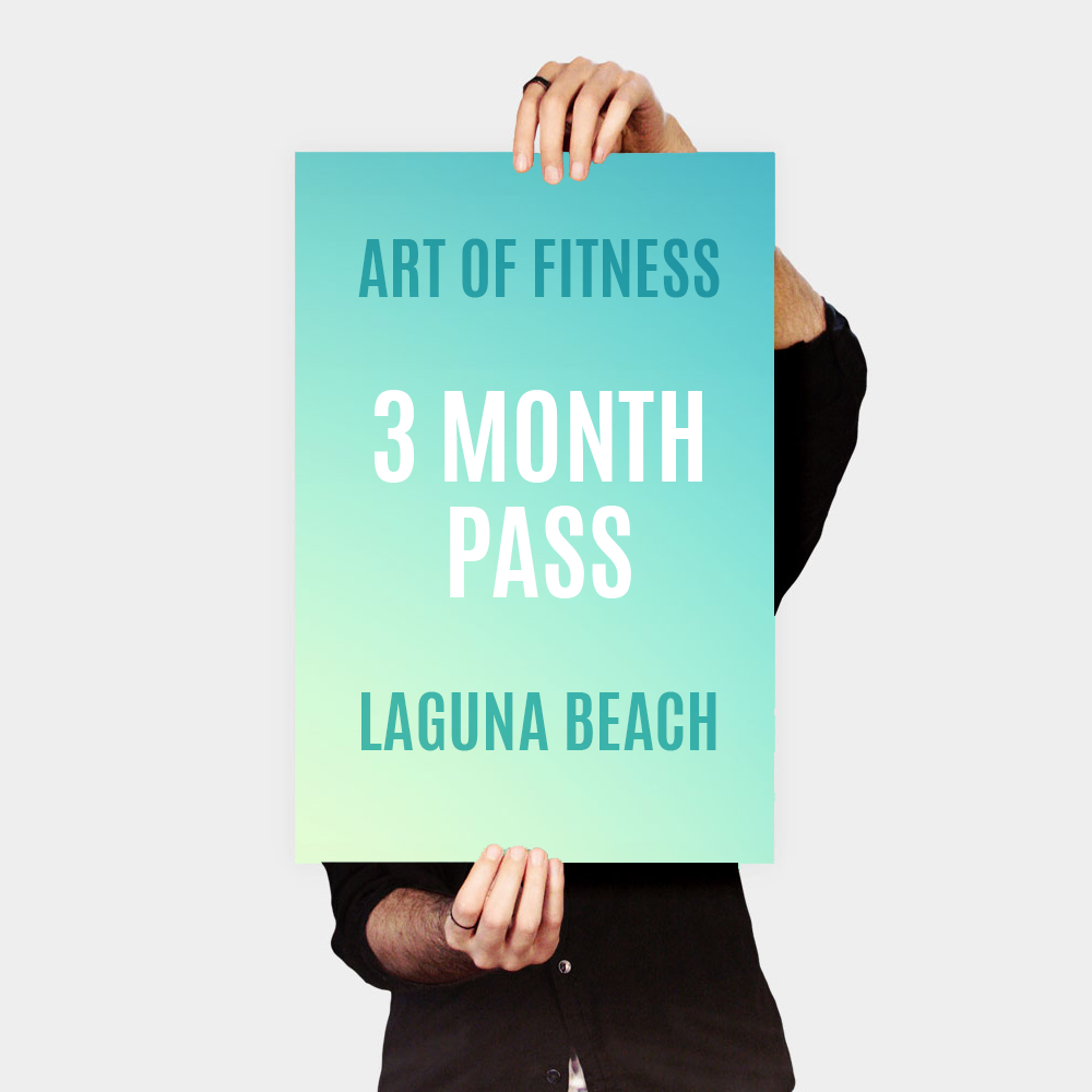 3 month pass to art of fitness laguna beach gym